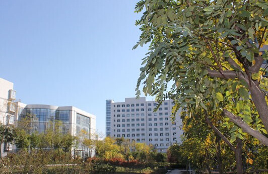 日照海事專修學院加強校園綠化建設 創(chuàng)造優(yōu)美育人環(huán)境