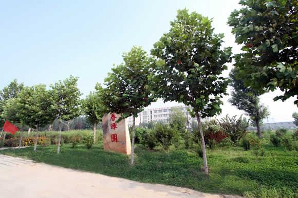 衡水科技工程學(xué)校怎么樣？是國辦院校嗎？就業(yè)有保障嗎？