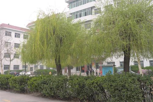 學習高鐵乘務(wù)專業(yè)怎么樣？   