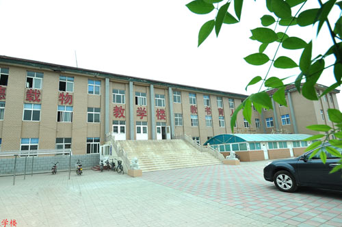 滄州國(guó)興職業(yè)技術(shù)學(xué)校哪些專業(yè)比較不錯(cuò)？