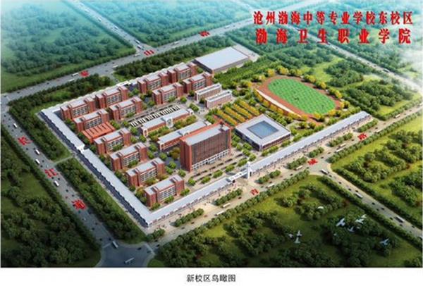 滄州學(xué)幼師為什么選擇滄州渤海專修學(xué)院？