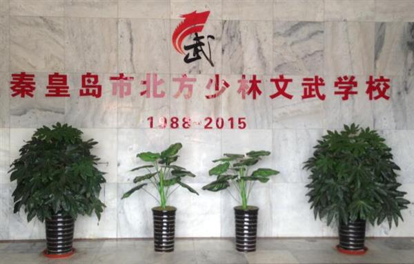 秦皇島北方少林文武學(xué)校就業(yè)如何？這答案你放心！