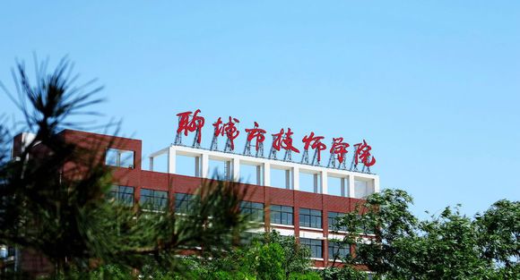 聊城市技師學院有計算機專業(yè)嗎？