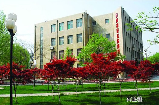 淄博市工業(yè)學(xué)校開設(shè)哪些計(jì)算機(jī)課程？