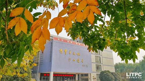 洛陽學(xué)電子商務(wù)去哪里？學(xué)電子商務(wù)去洛陽哪所學(xué)校？