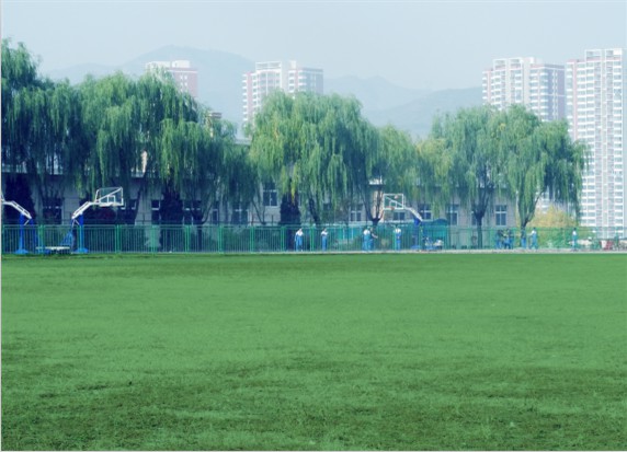青島滿天星職業(yè)培訓學校怎么樣？