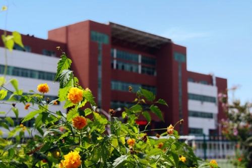 通過單招考取大學(xué)有哪些優(yōu)勢？