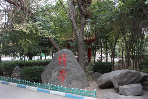  山東人民專修學院怎樣安排學生就業(yè)？