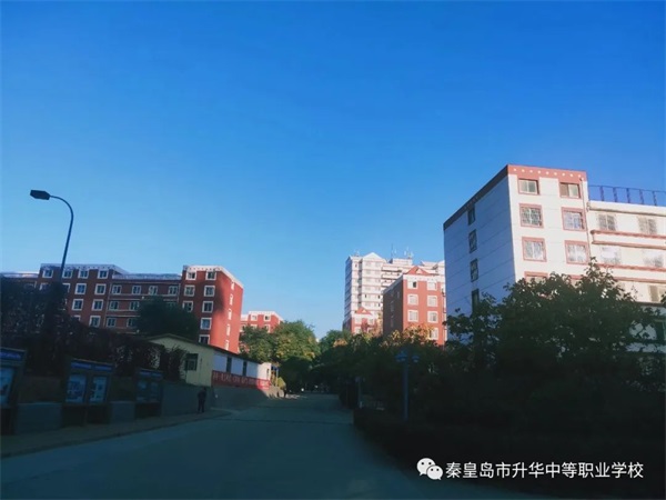 電子商務專業(yè)有哪些就業(yè)方向？