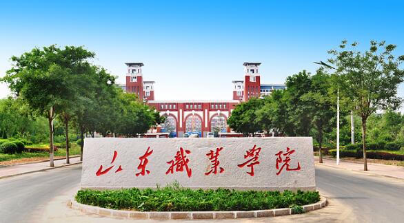 山東職業(yè)學院有哪些教學成果？