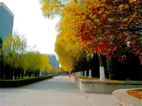 北京現(xiàn)代體育學(xué)院、航空乘務(wù)學(xué)院設(shè)施好嗎？