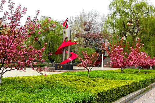 選擇齊魯技術(shù)學院學幼師怎么樣？