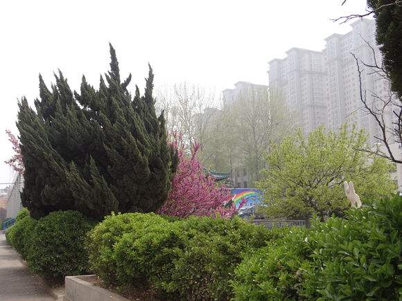 煙臺(tái)天虹學(xué)院怎么樣？