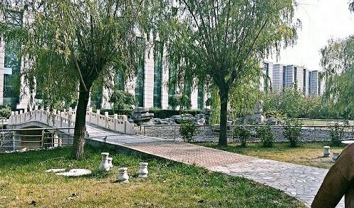 保定那個(gè)學(xué)?？梢詫W(xué)到專業(yè)汽修技術(shù)？