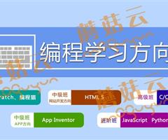 孩子為什么要盡早學習少兒編程。濟寧蘑菇云少兒編程