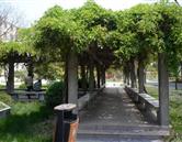 校園風采