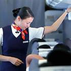 航空服務(wù)（票務(wù)、安檢方向）、航空乘務(wù)定向委培