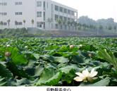 鄭州澍青醫(yī)學高等?？茖W校